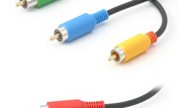 Component video and composite RCA cable plugs Component video cable with green blue and red RCA plugs next to a single yellow composite RCA cable