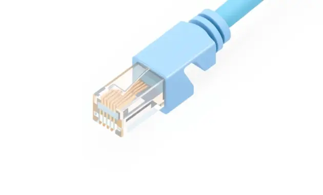 RJ45 connector on a blue ethernet cable RJ45 connector crimped on a blue CAT5 ethernet cable