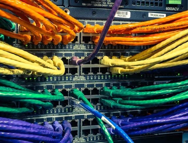 Ethernet patch cables of several categories plugged into a network switch